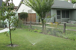 Lawn with sprinklers turned on