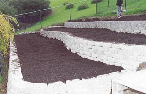 Sparse lawn turned into beautiful steps using retaining walls